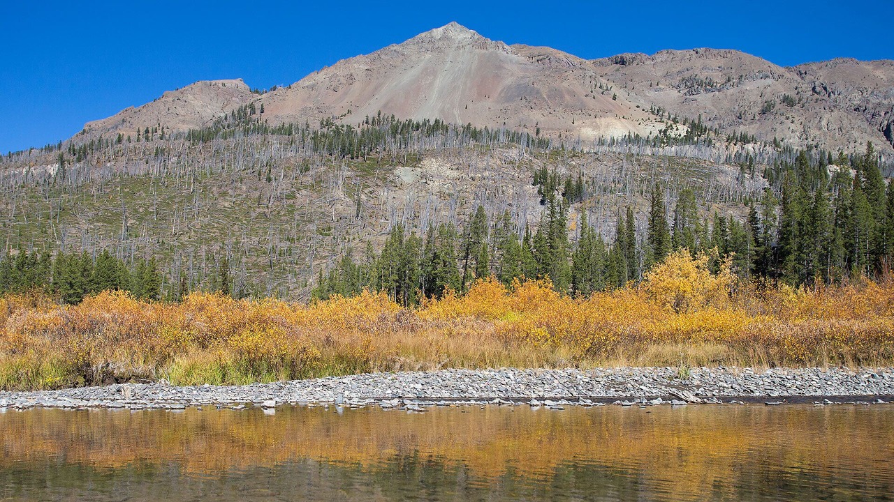 Photo of Others in Cooke City-Silver Gate