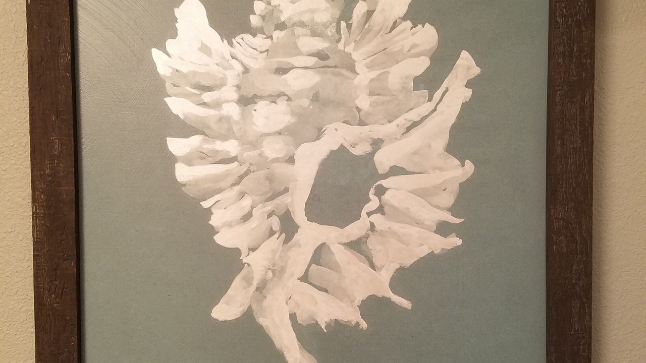 Photo of Others in Long Beach