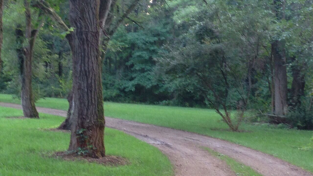 Photo of Others in Benton Harbor