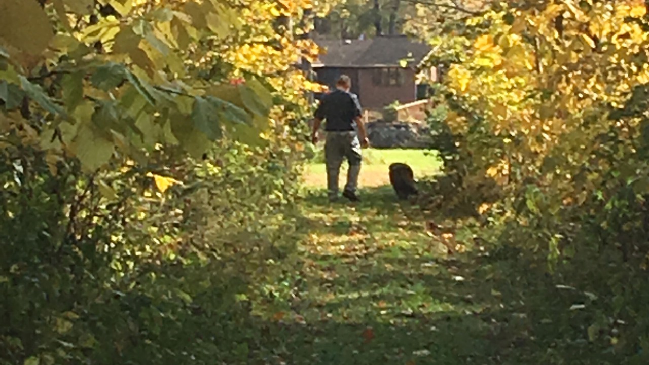 Photo of Others in Benton Harbor