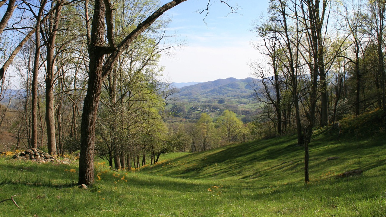 Photo of Outdoor in Clyde
