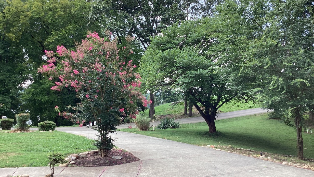 Photo of Outdoor in Mount Vernon