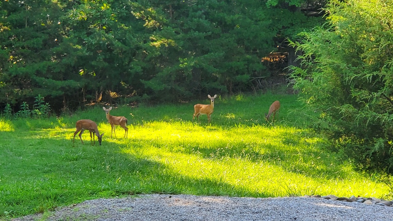 Photo of Outdoor in Mount Vernon