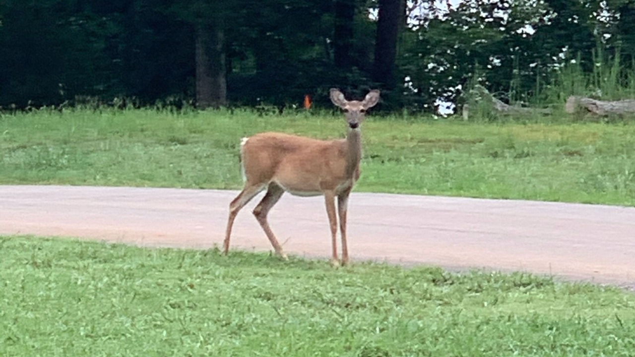 Photo of Others in Mount Vernon