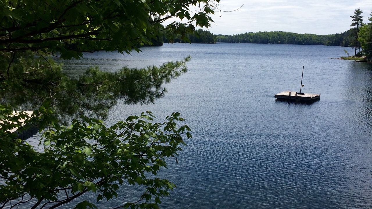 Photo of Outdoor in Algonquin Highlands
