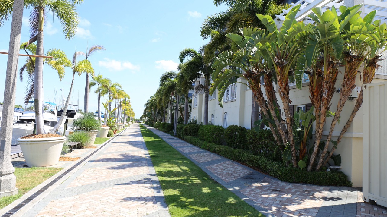 Photo of Outdoor in Ruskin