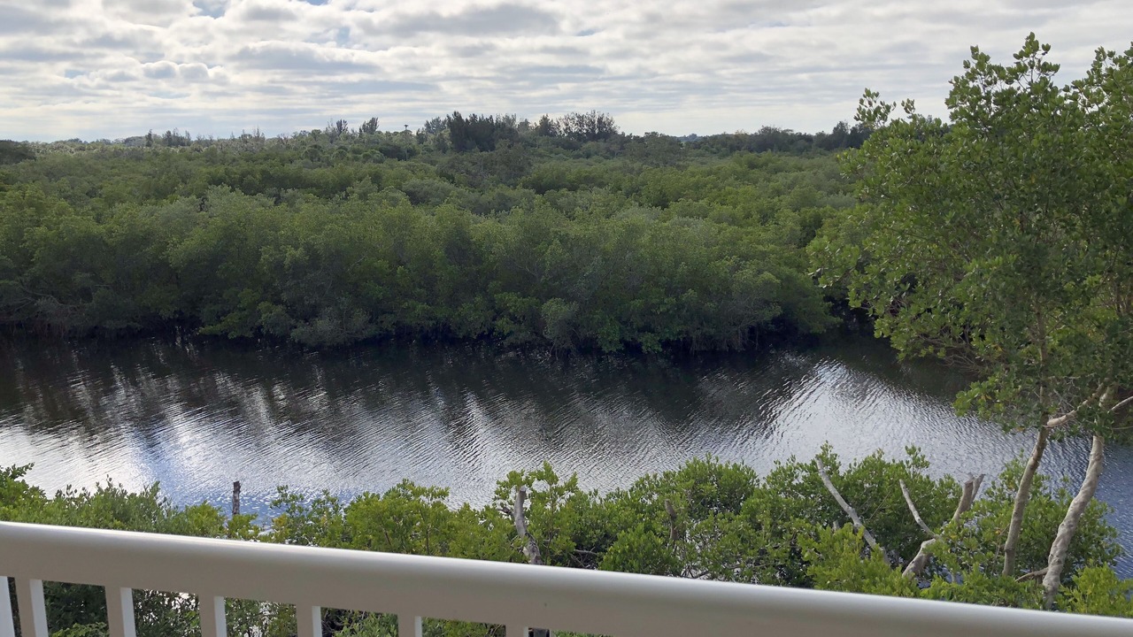 Photo of Outdoor in Ruskin
