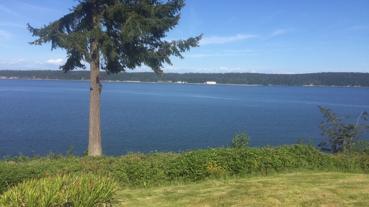 Photo of Others in Adelma Beach