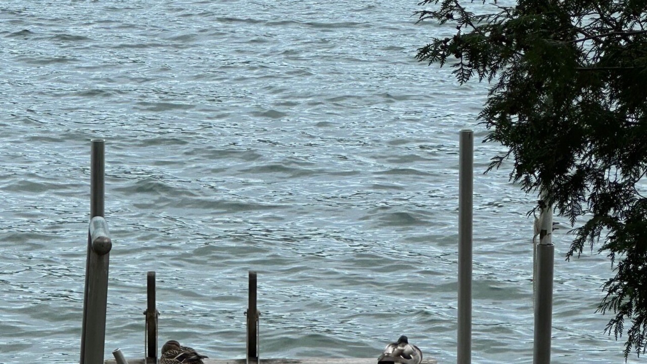 Photo of Others in Silver Bay