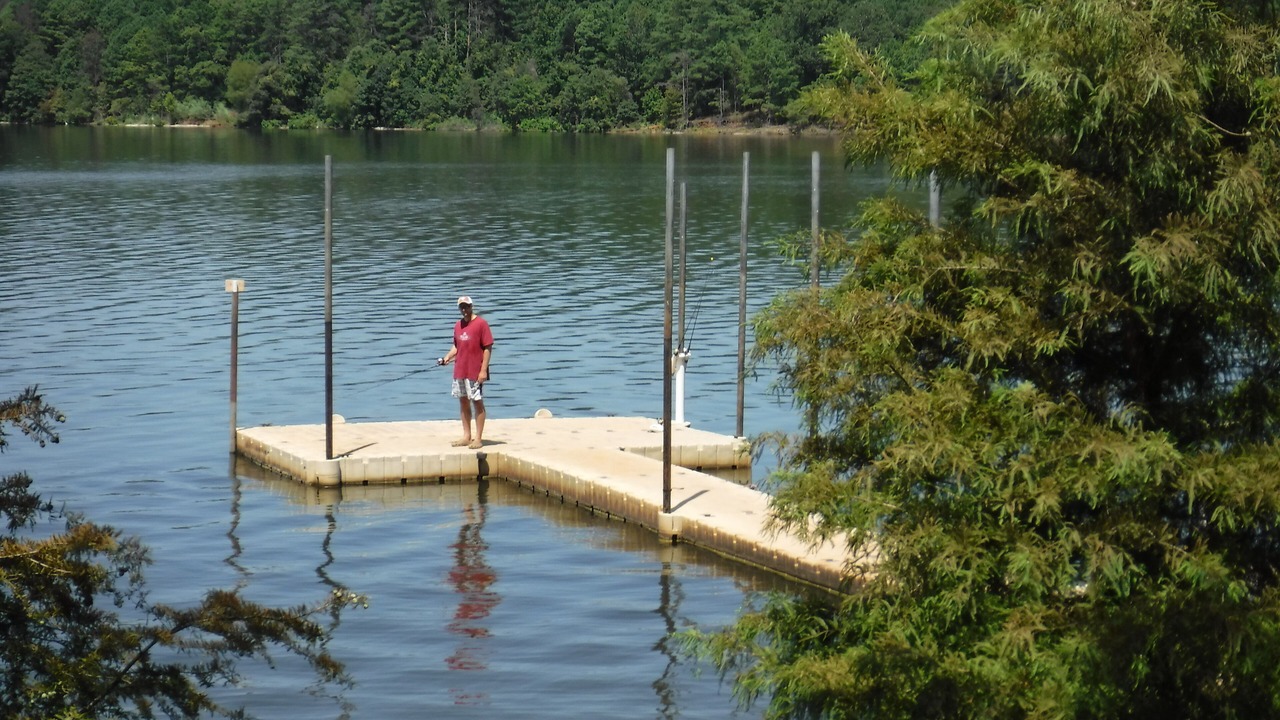 Photo of Outdoor in Avinger