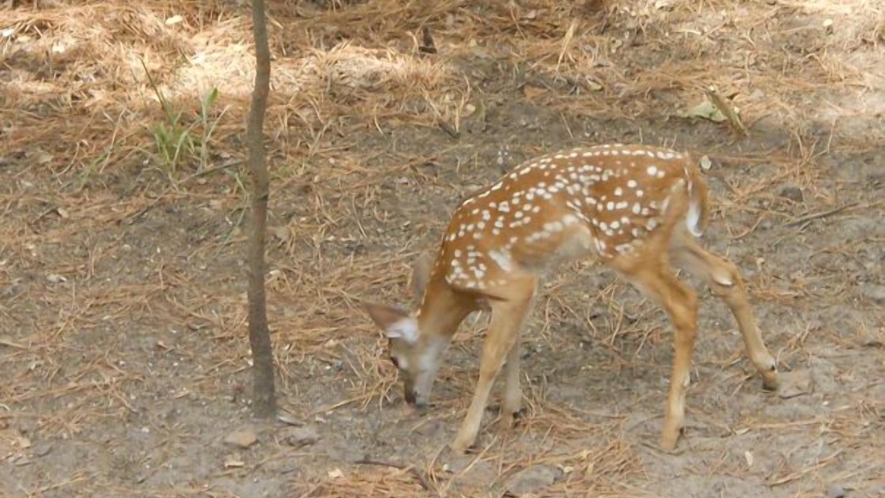 Photo of Others in Avinger