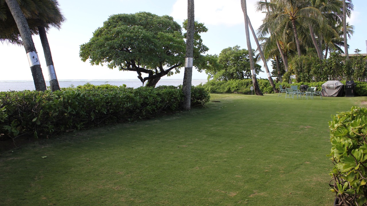 Photo of Outdoor in Kuliouou - Kalani Iki