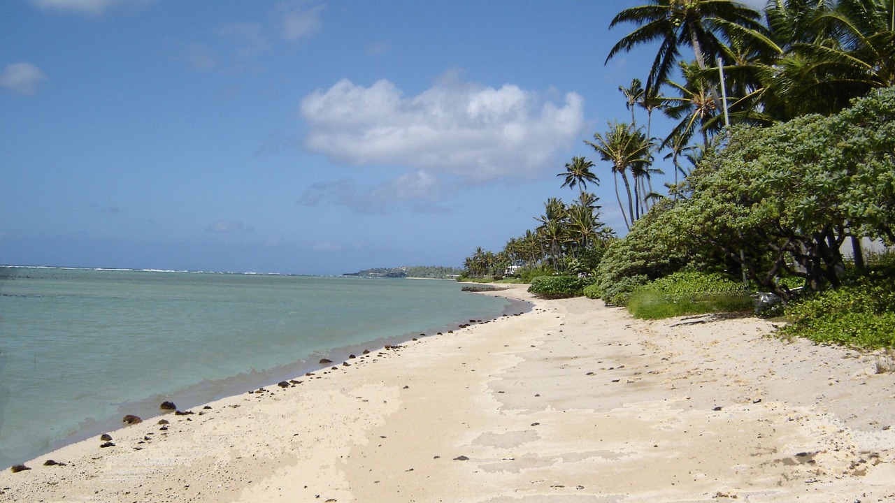 Photo of Others in Kuliouou - Kalani Iki