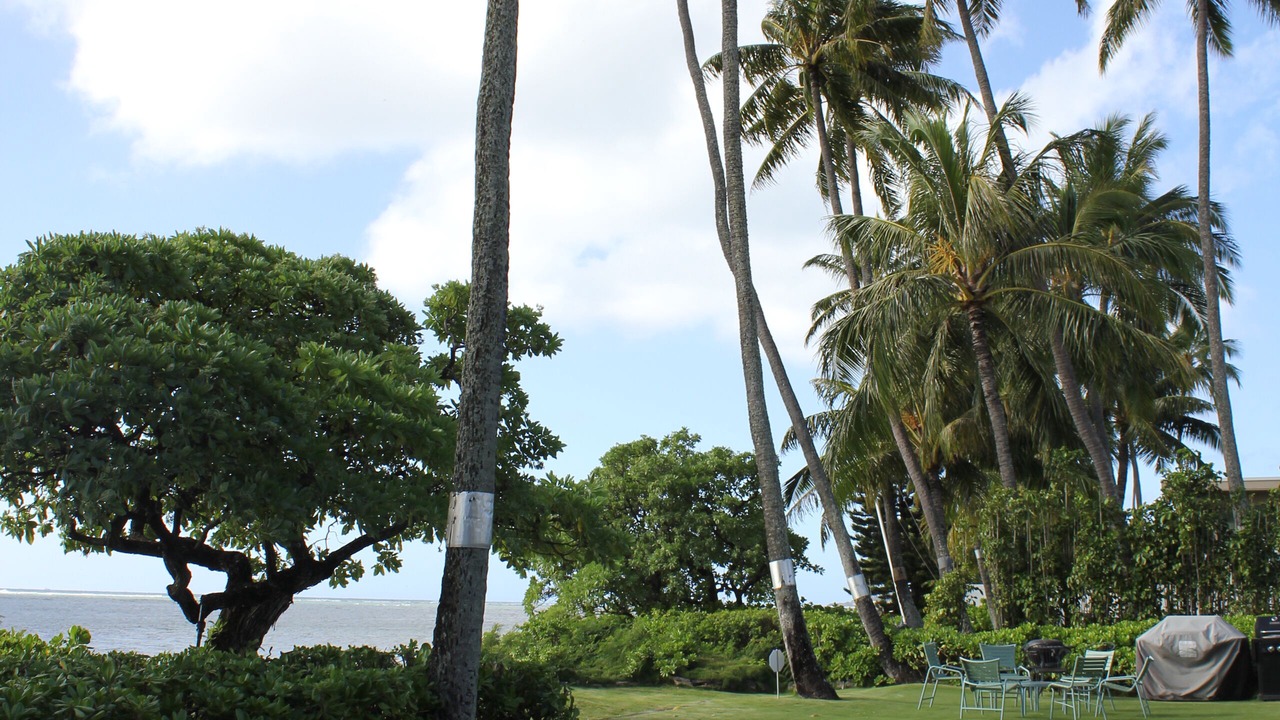 Photo of Others in Kuliouou - Kalani Iki