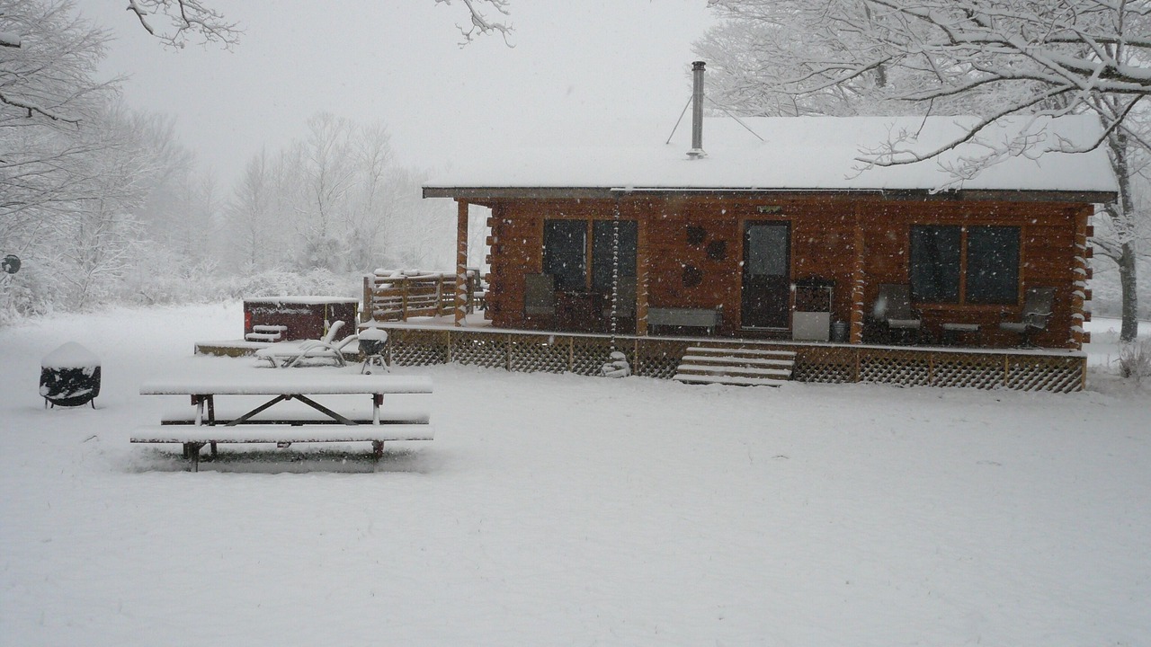 Photo of Outdoor in Blue Grass