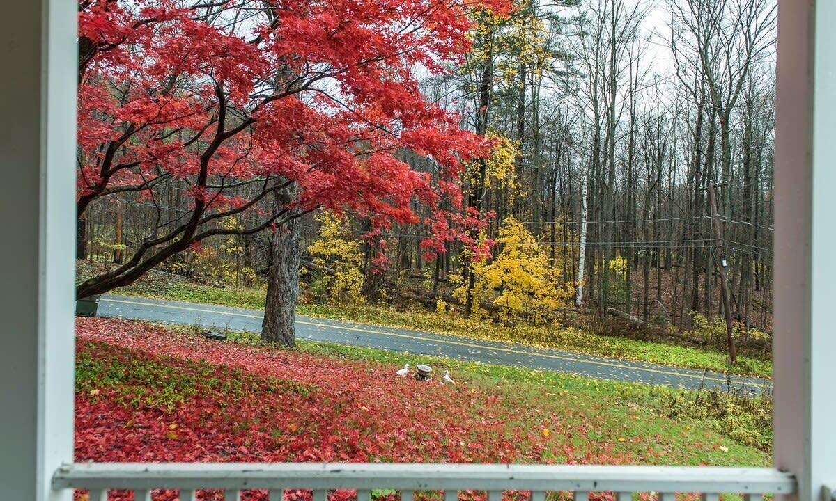 Photo of Others in Lenox