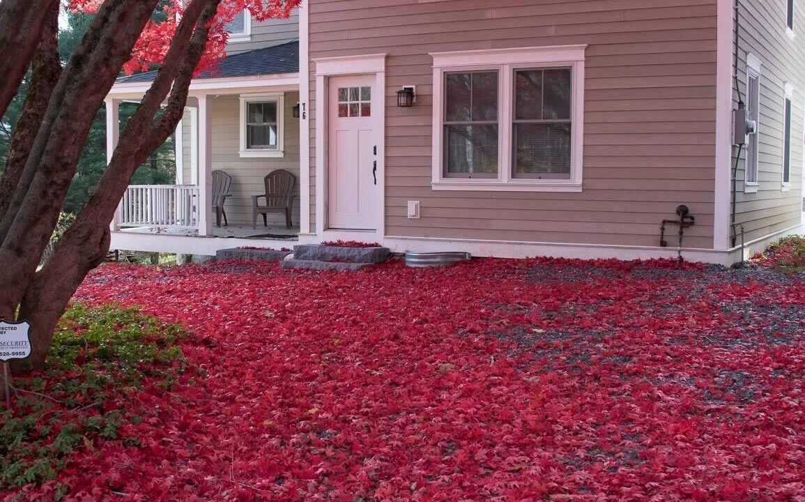 Photo of Outdoor in Lenox