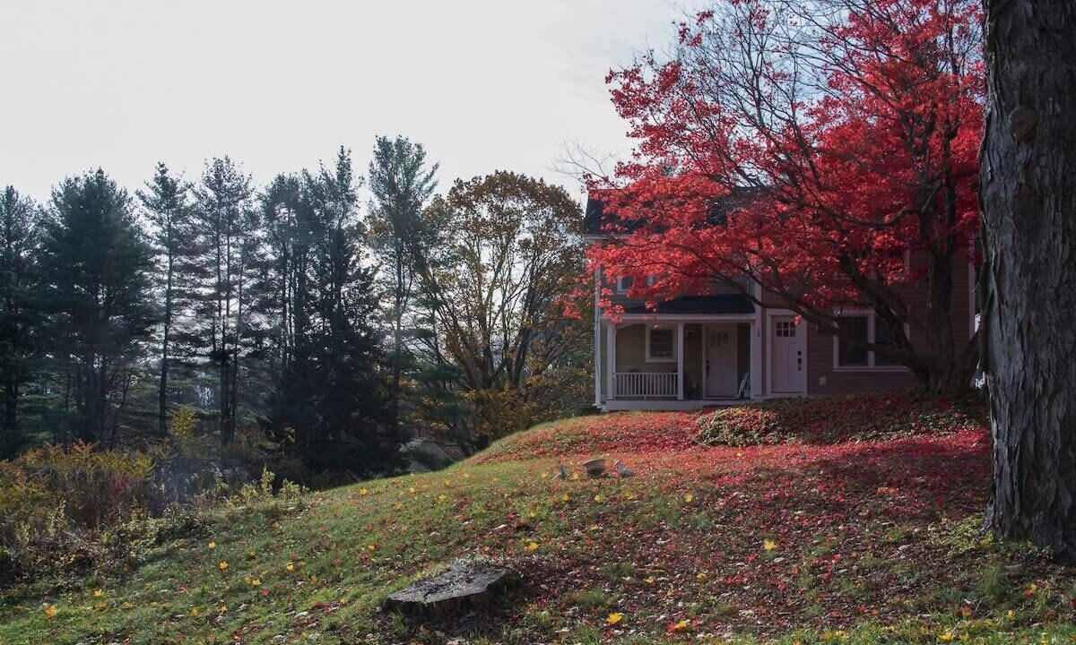 Photo of Outdoor in Lenox