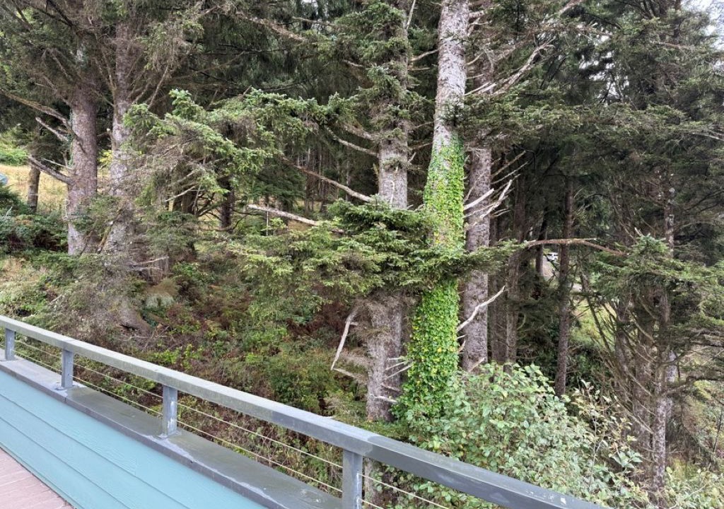 Photo of Patio Balcony in Arch Cape