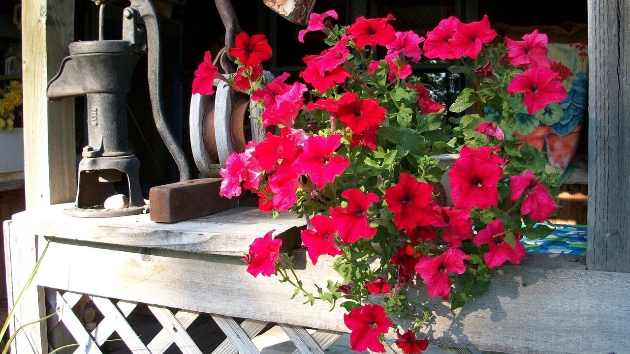 Photo of Others in Bend