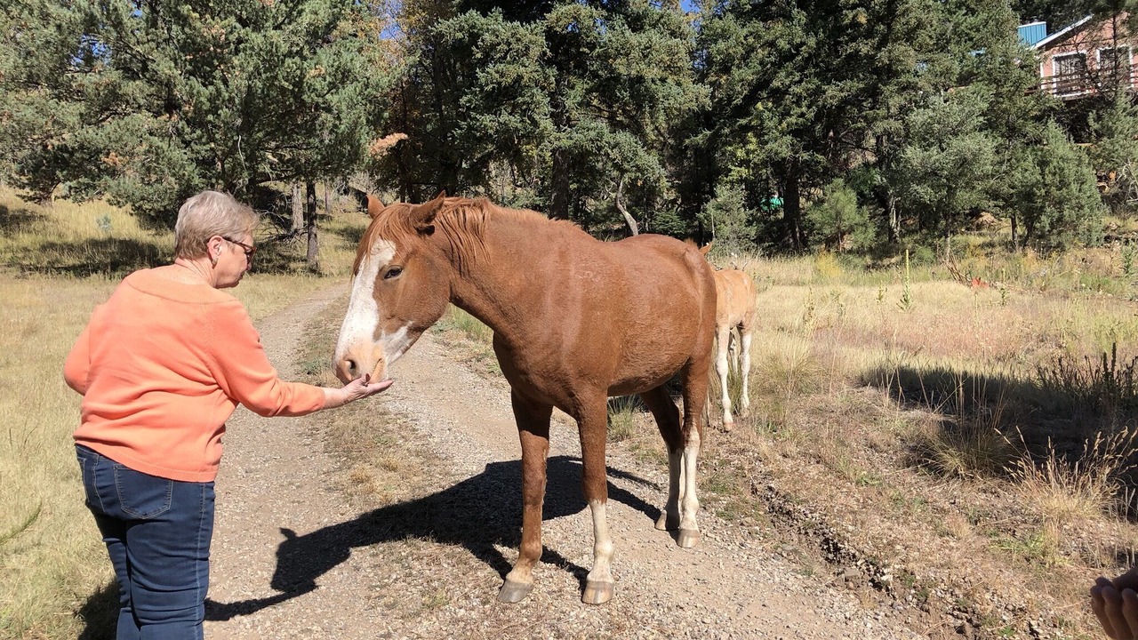 Photo of Others in Ruidoso