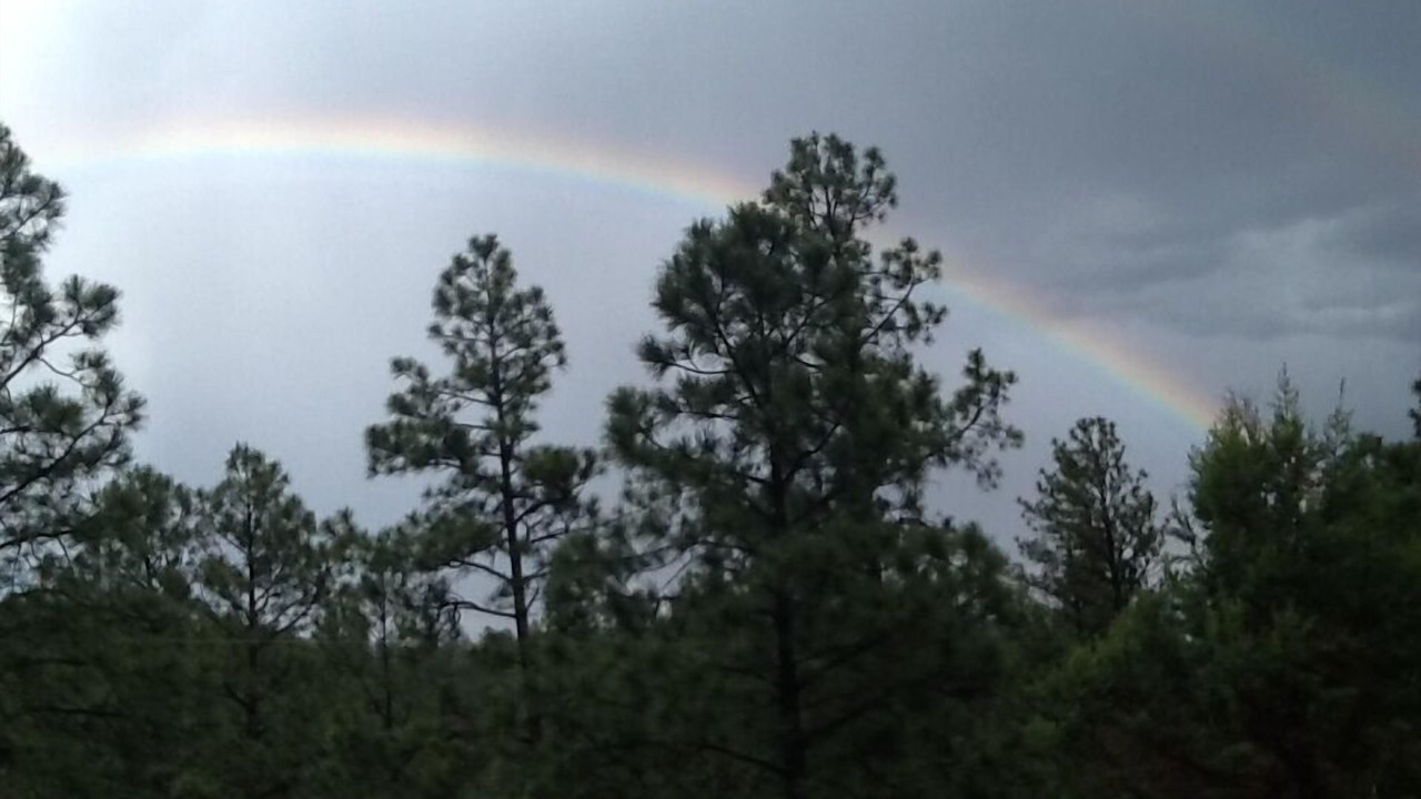 Photo of Others in Ruidoso