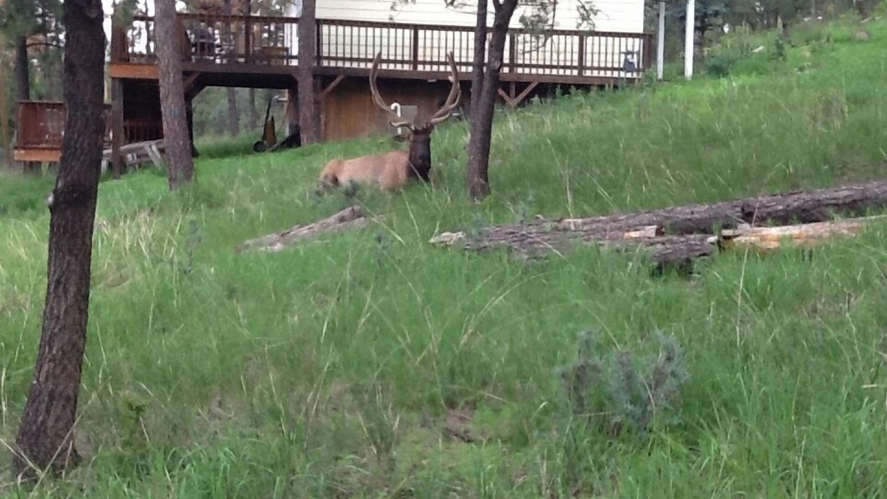 Photo of Others in Ruidoso