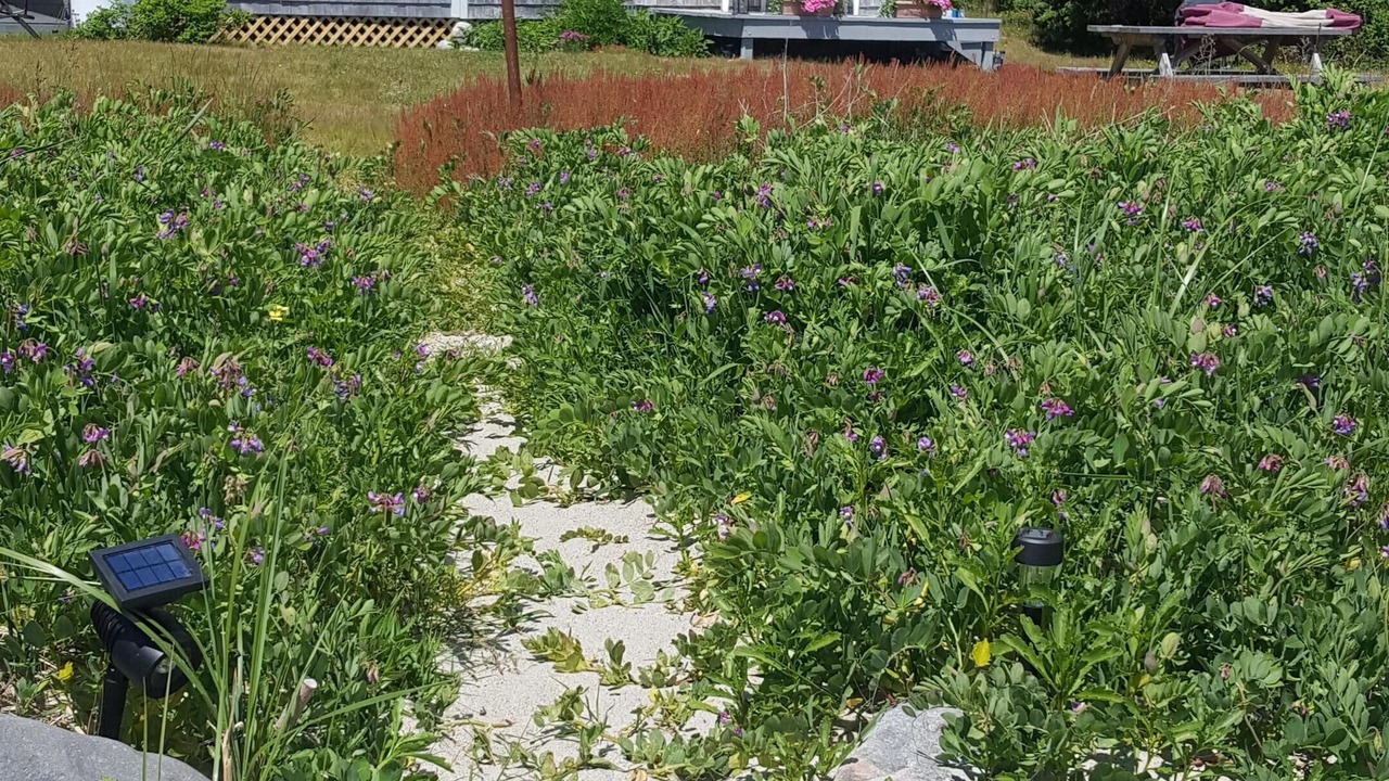 Photo of Others in Jonesport