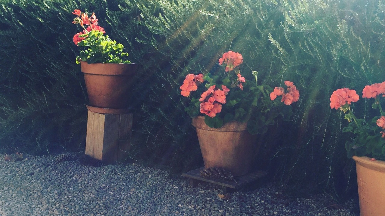 Photo of Outdoor in Cizos