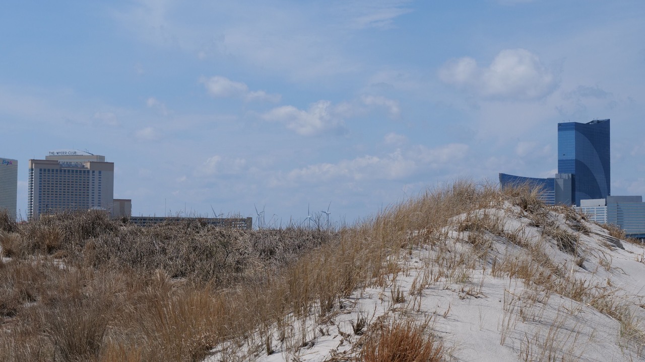 Photo of Others in Brigantine