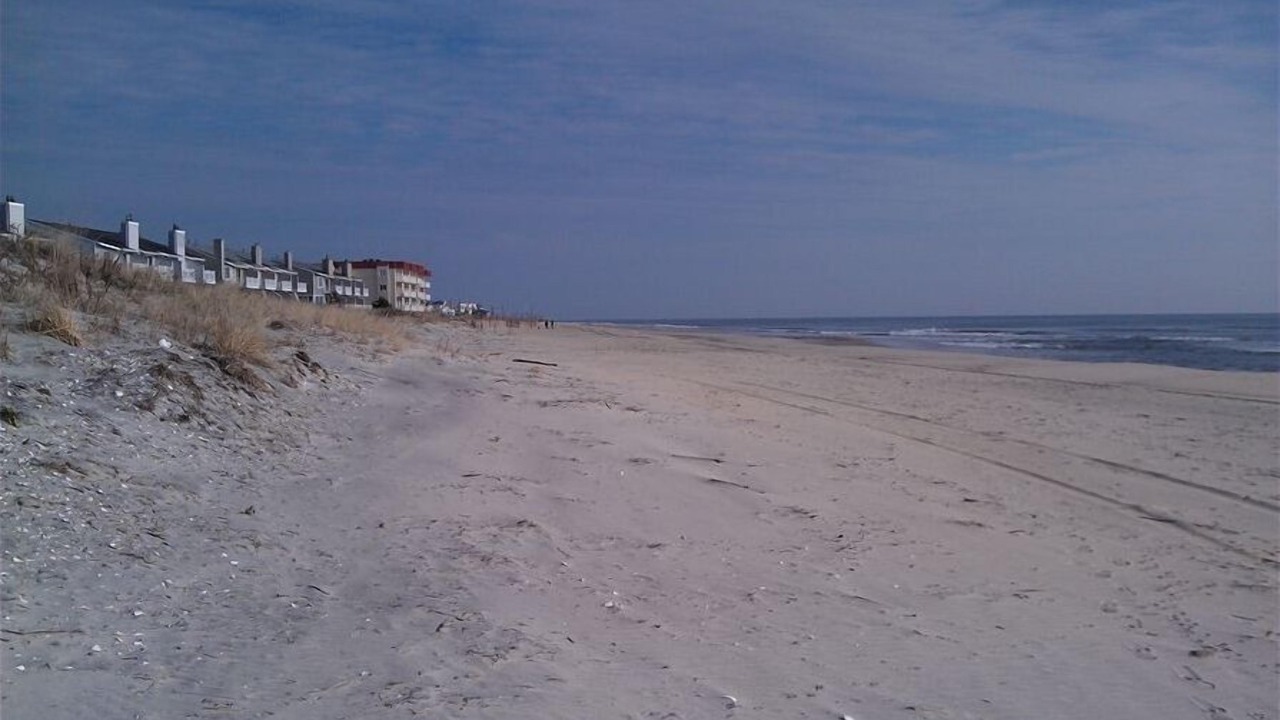 Photo of Others in Brigantine