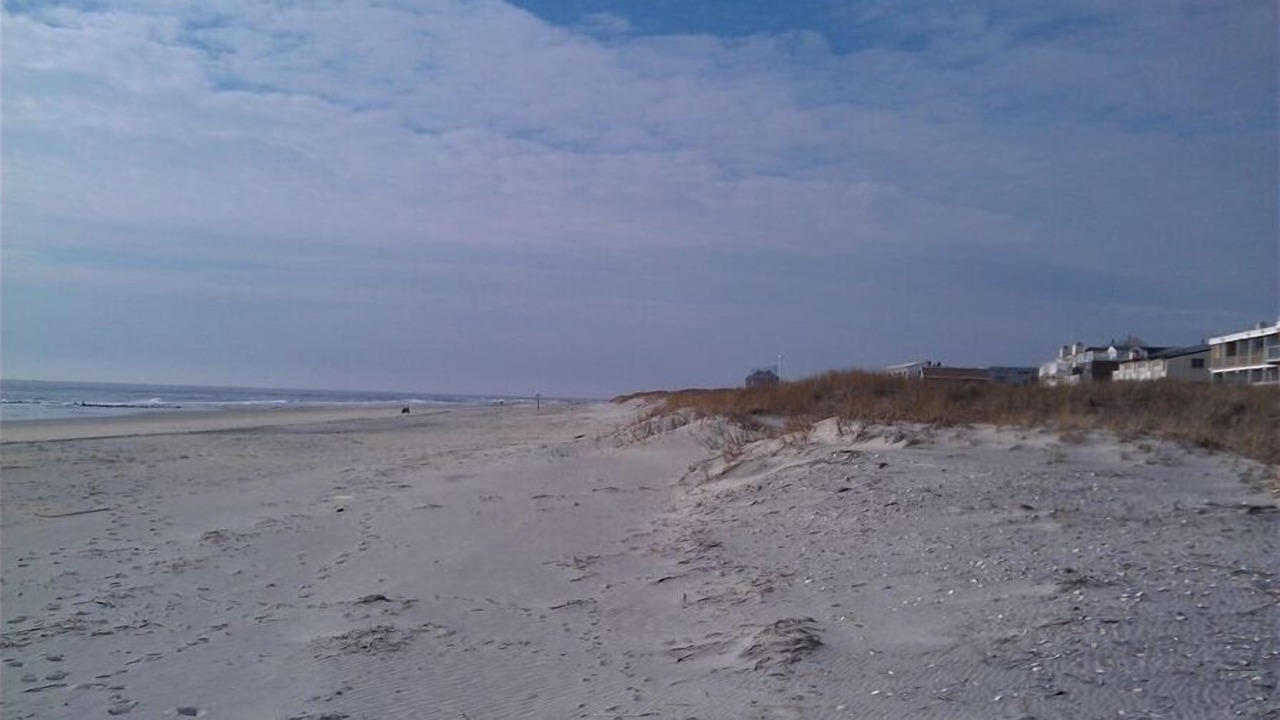 Photo of Others in Brigantine