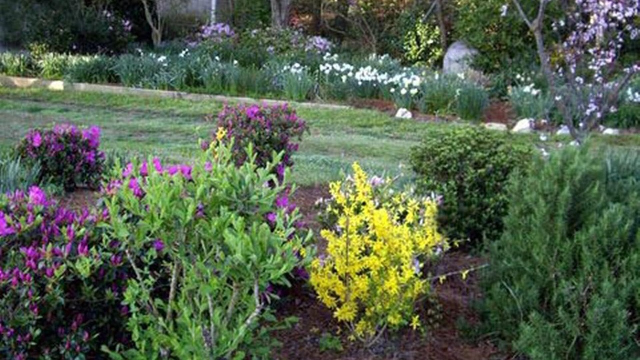 Photo of Outdoor in Hampstead
