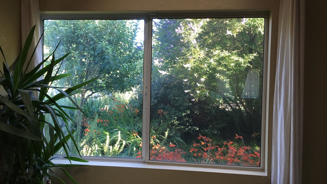 Photo of Others in Freestone