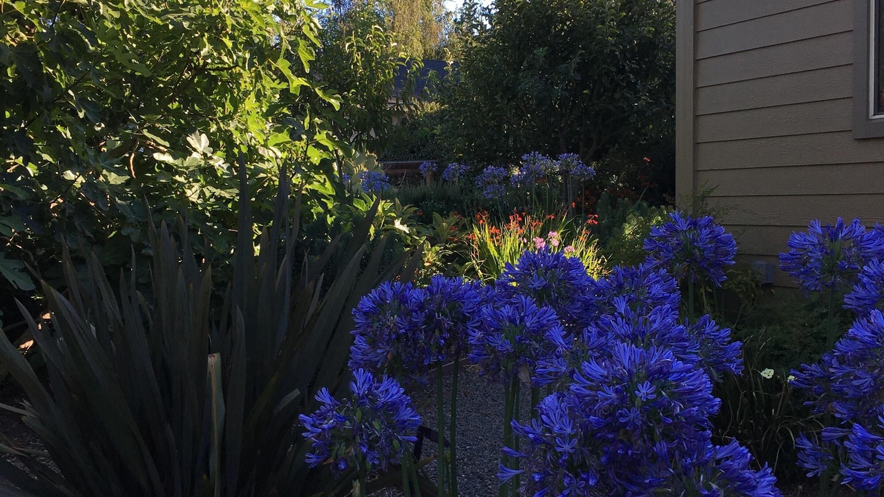 Photo of Others in Freestone