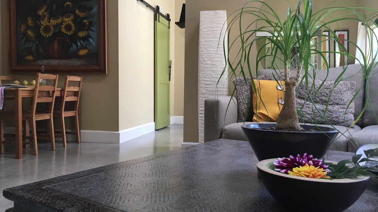 Photo of Livingroom in Freestone