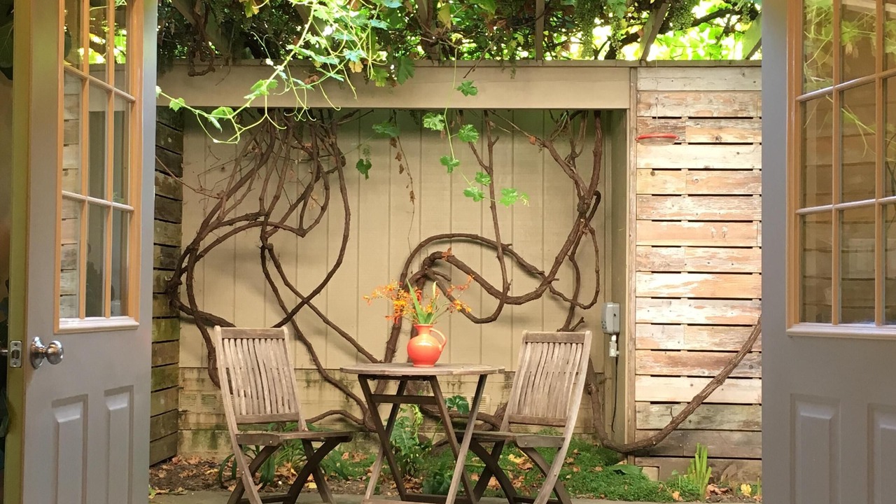 Photo of Outdoor in Freestone