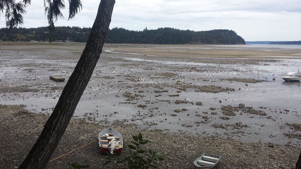 Photo of Others in Brinnon