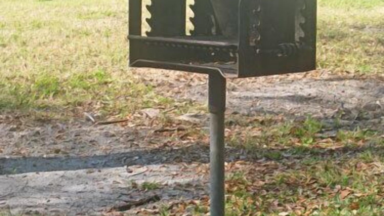 Photo of Outdoor in Brinnon