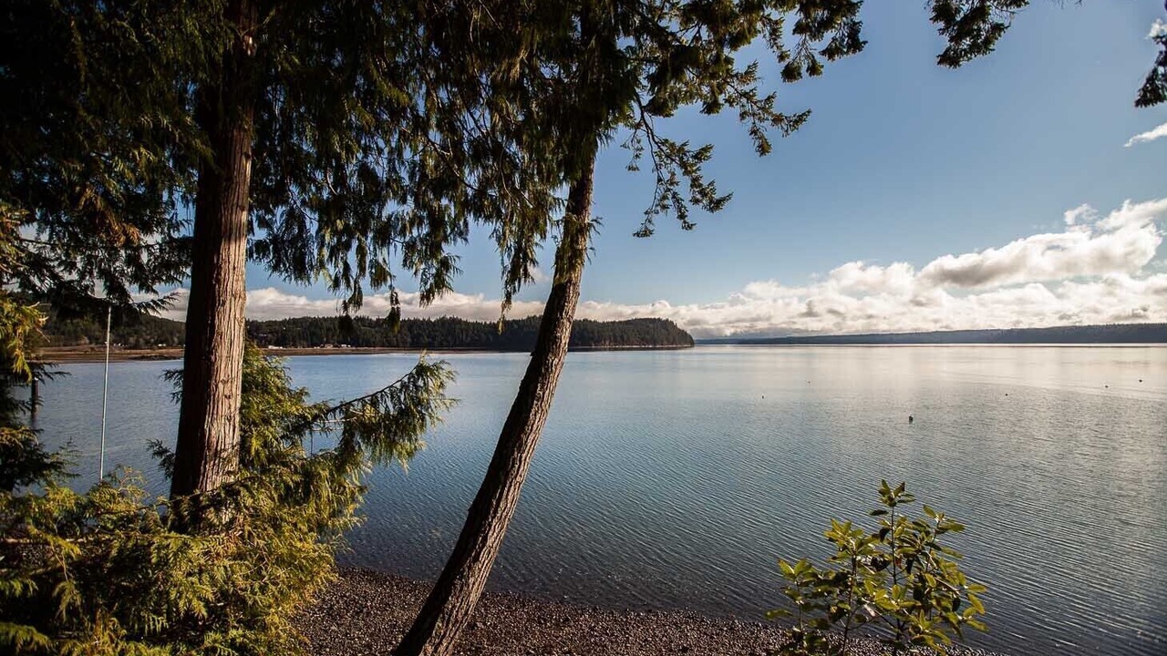 Photo of Others in Brinnon