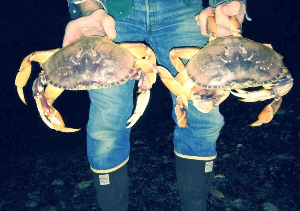 Photo of Others in Brinnon