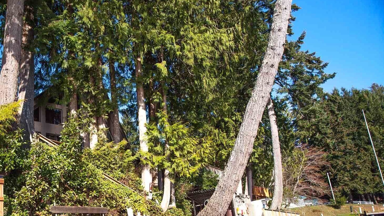 Photo of Outdoor in Brinnon