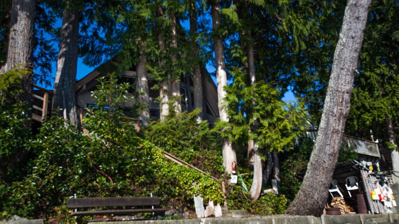 Photo of Outdoor in Brinnon