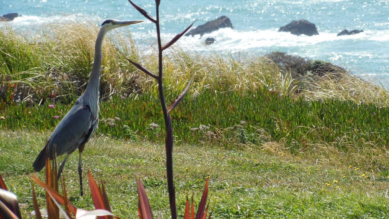 Photo of Others in Sereno del Mar