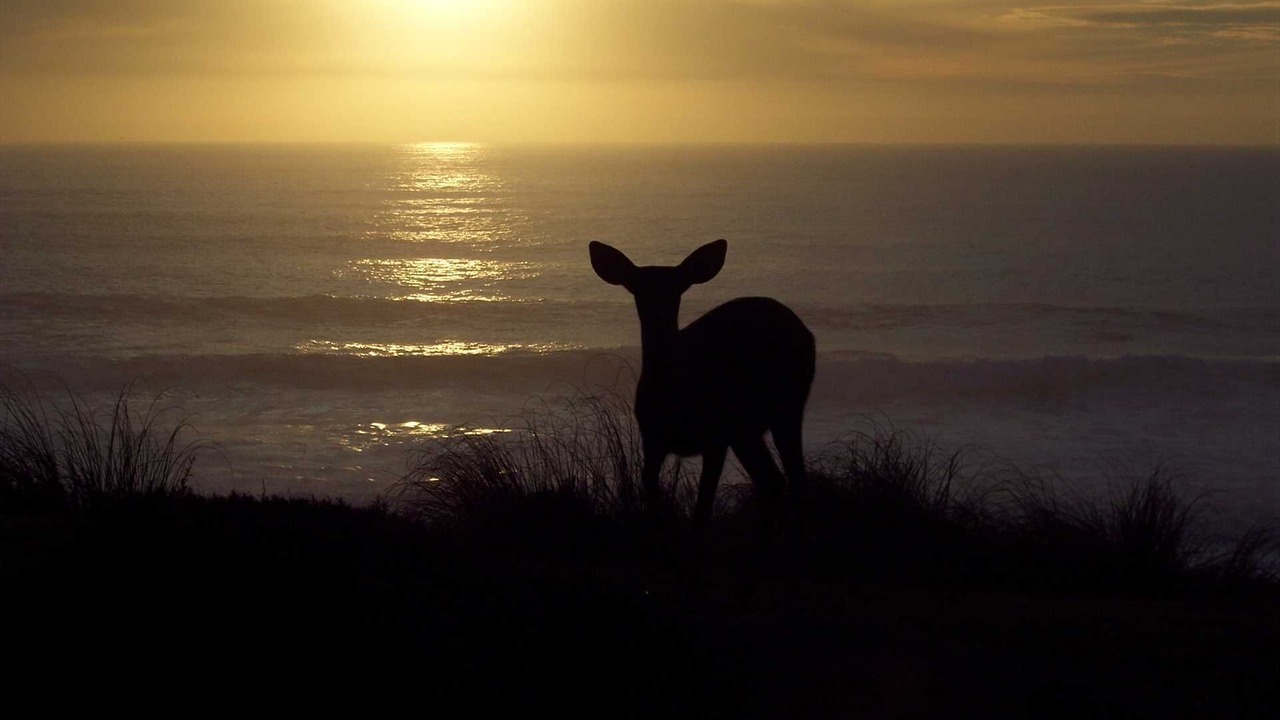 Photo of Others in Sereno del Mar