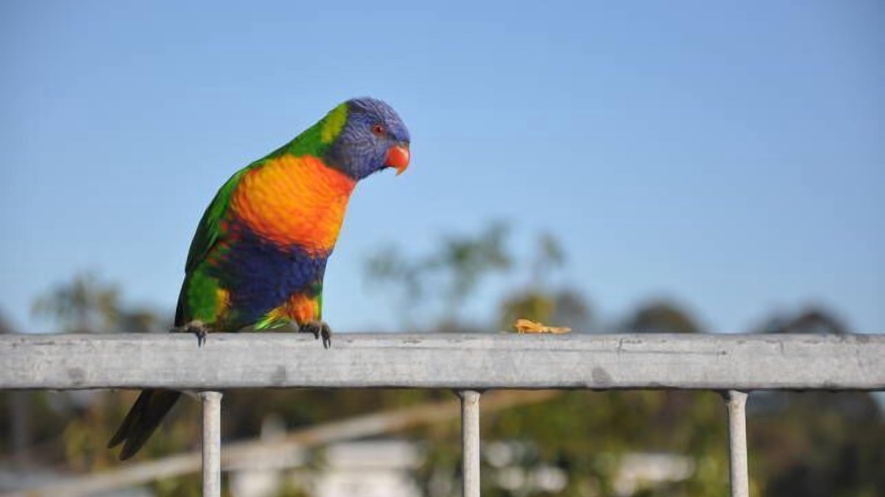 Photo of Others in Loch Sport
