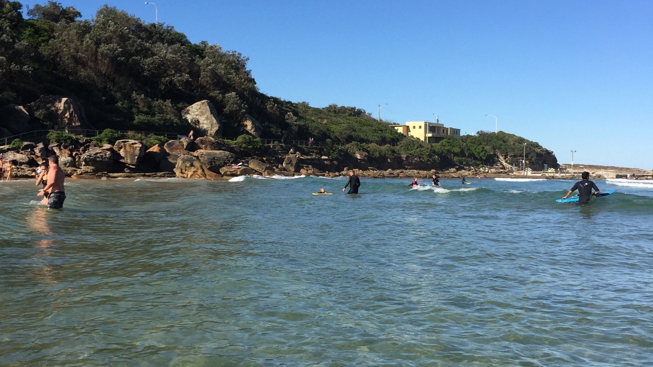 Photo of Others in Freshwater