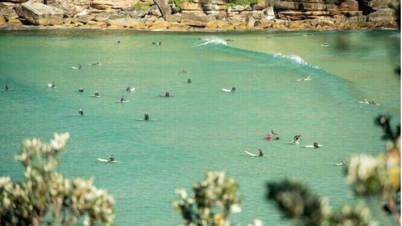 Photo of Others in Freshwater