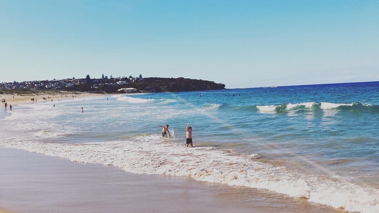 Photo of Others in Freshwater