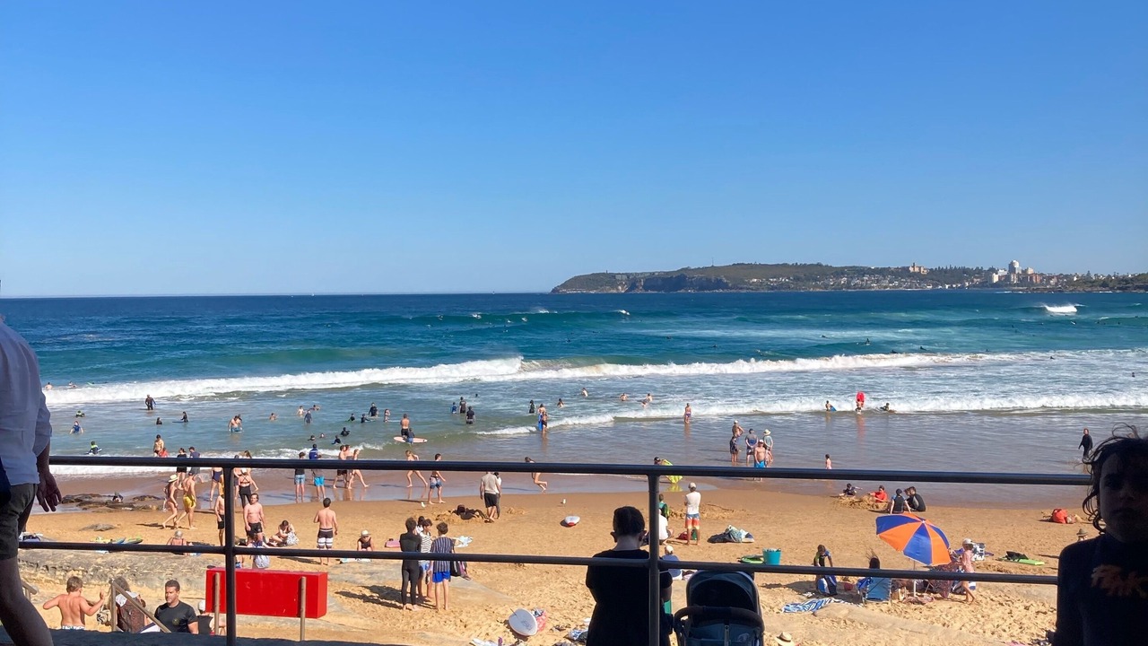 Photo of Others in Freshwater